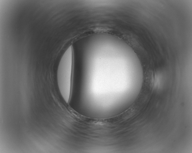 X0000070410755200606090955