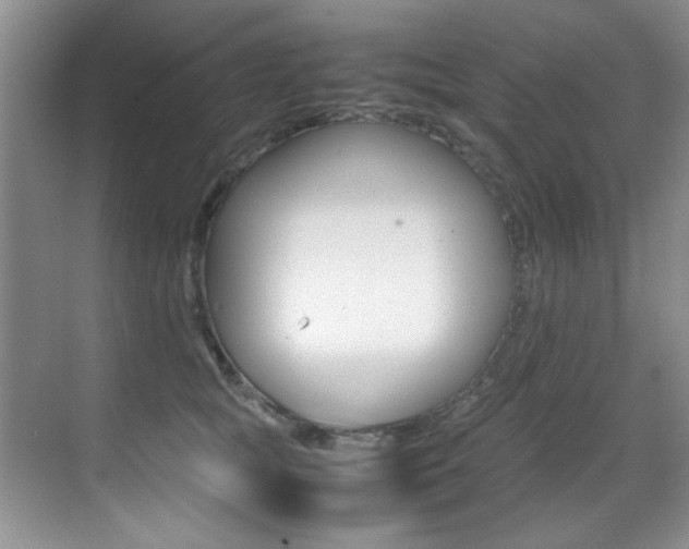 X0000070410757200606090955