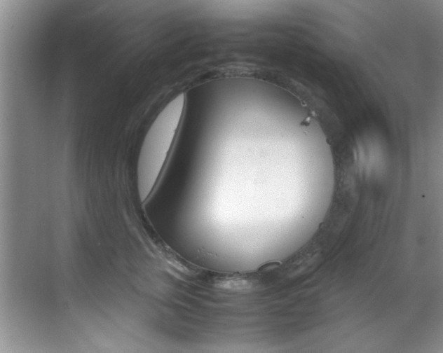 X0000070410759200606090955