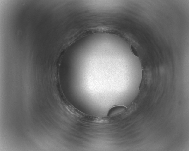 X0000070410760200606090955