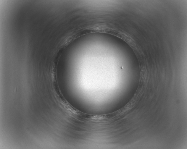 X0000070410762200606090955