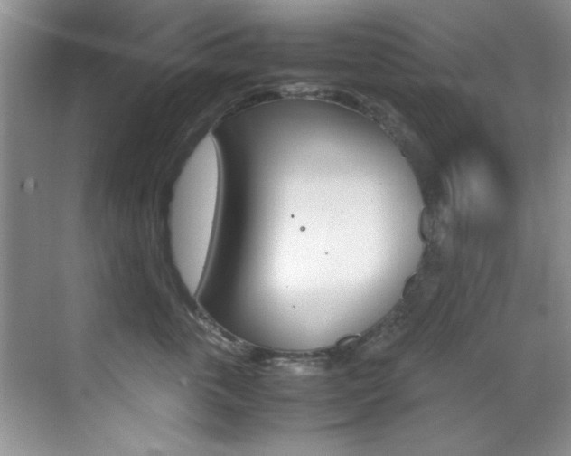 X0000070410763200606090955