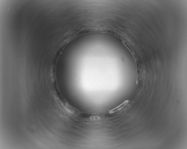 X0000070410764200606090955