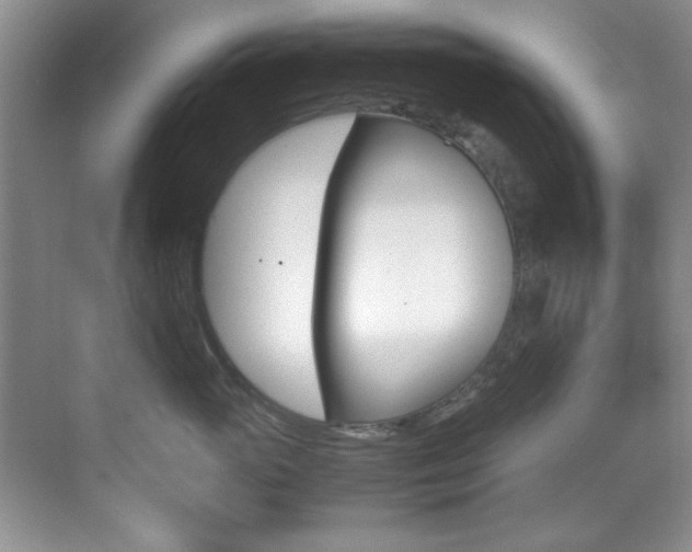 X0000070410765200606090955