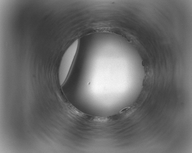 X0000070410767200606090955