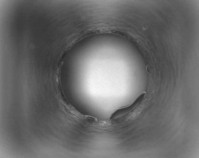 X0000070410768200606090955