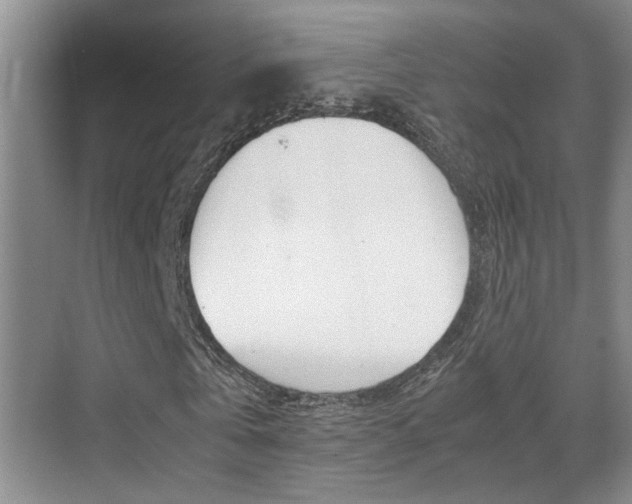 X0000070410769200606090954