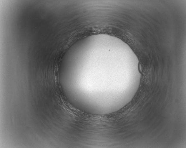 X0000070410770200606090954