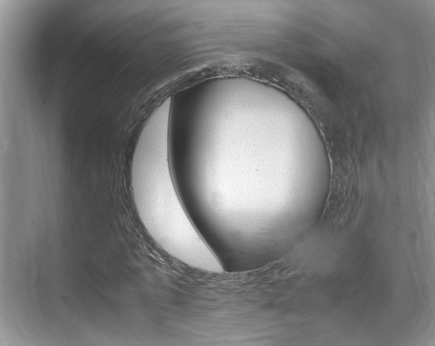 X0000070410773200606090954