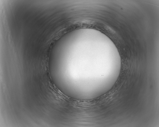 X0000070410774200606090954