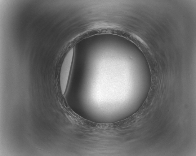 X0000070410775200606090954