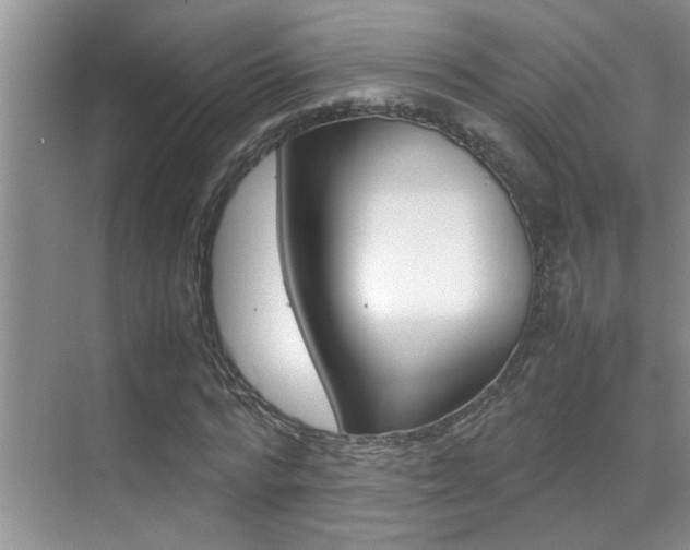 X0000070410776200606090954