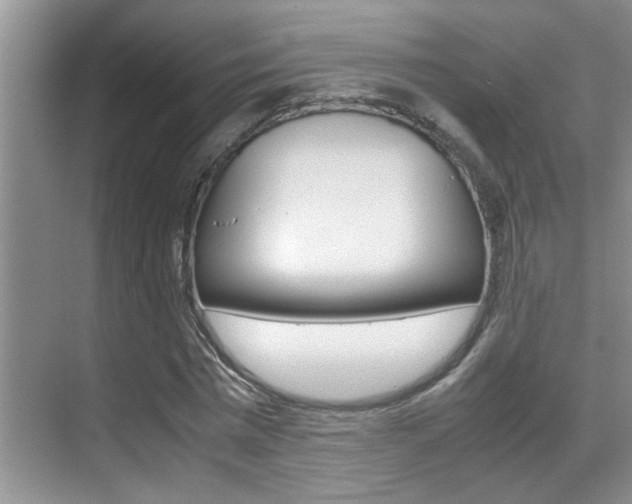 X0000070410777200606090954