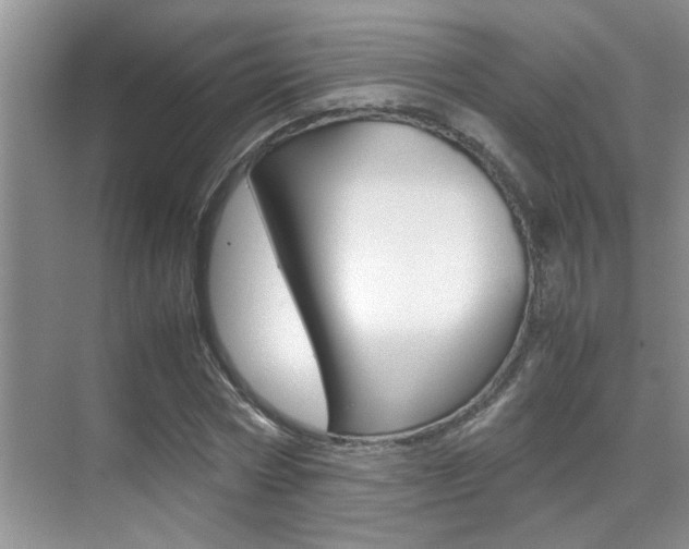 X0000070410778200606090954