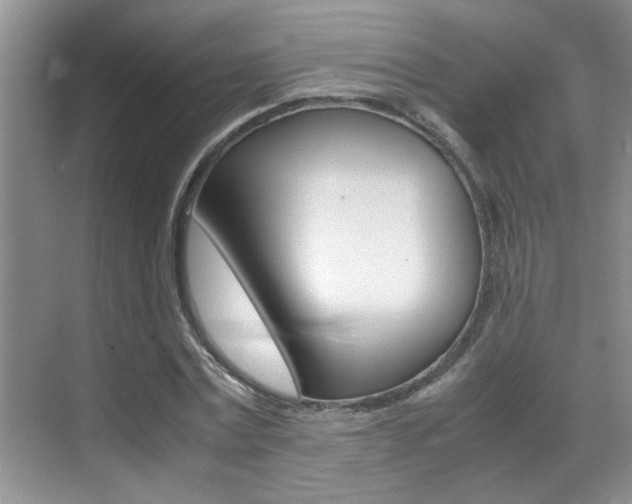 X0000070410779200606090954