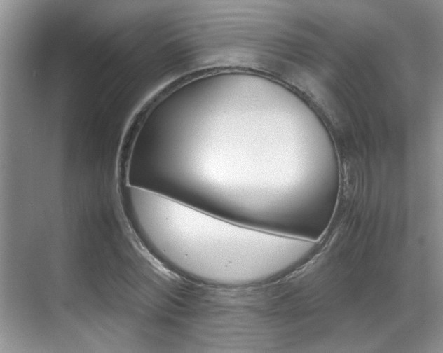 X0000070410780200606090954