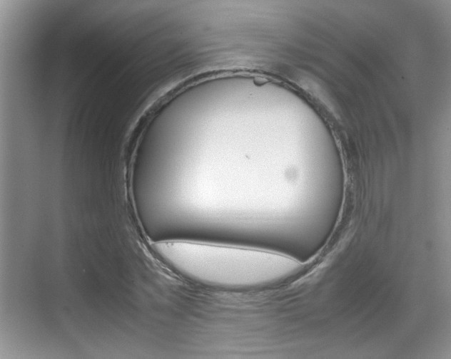 X0000070410781200606090954