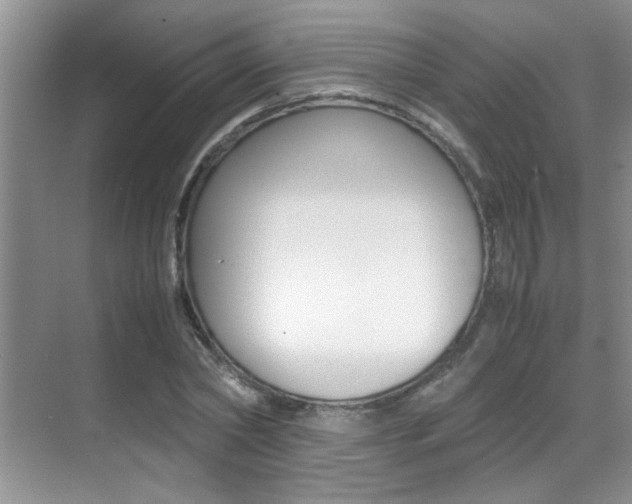 X0000070410782200606090954