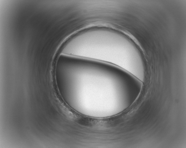 X0000070410783200606090954