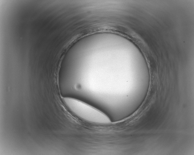 X0000070410785200606090954