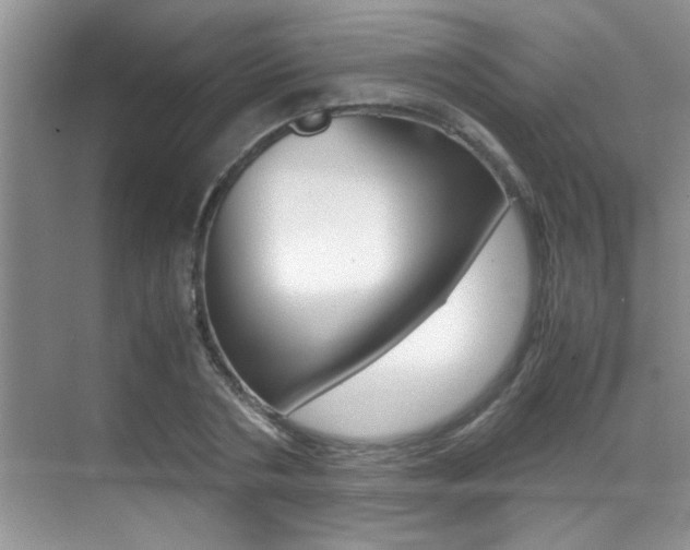 X0000070410786200606090954