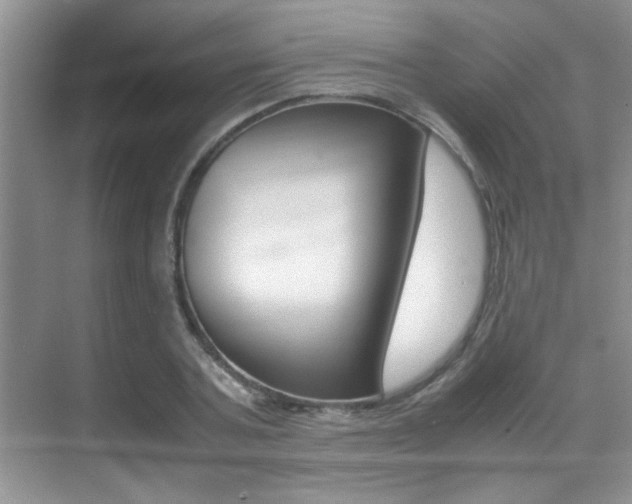 X0000070410787200606090954