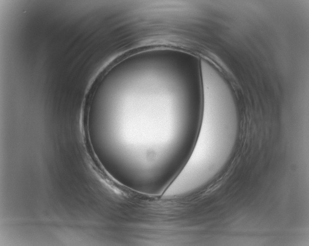 X0000070410788200606090954