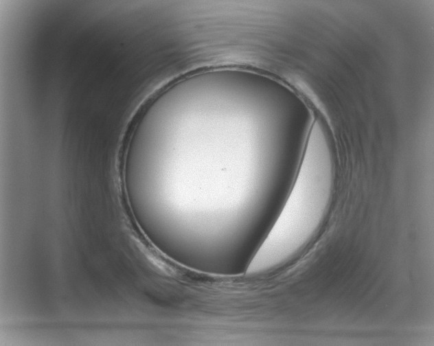 X0000070410789200606090954