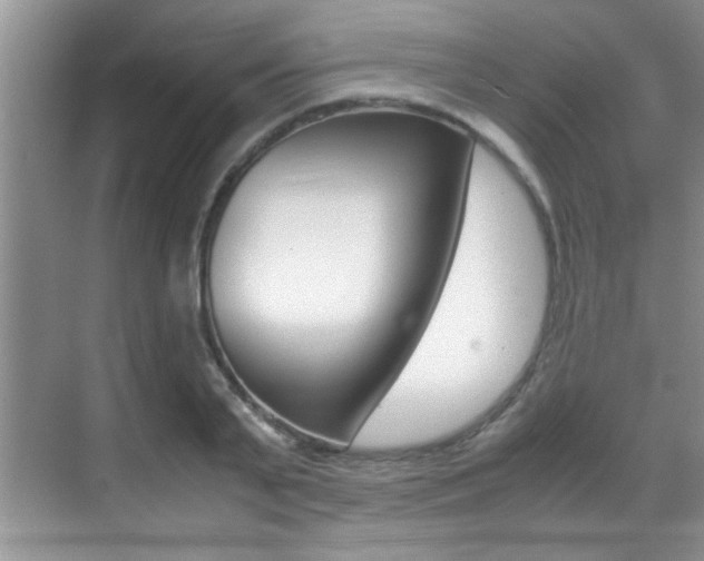 X0000070410791200606090954