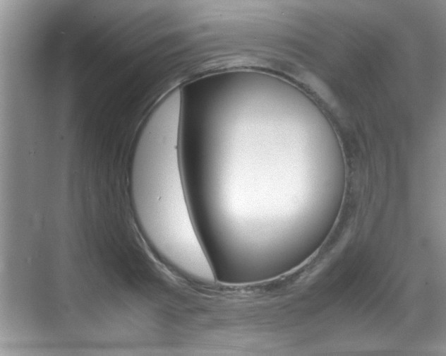 X0000070410793200606090954