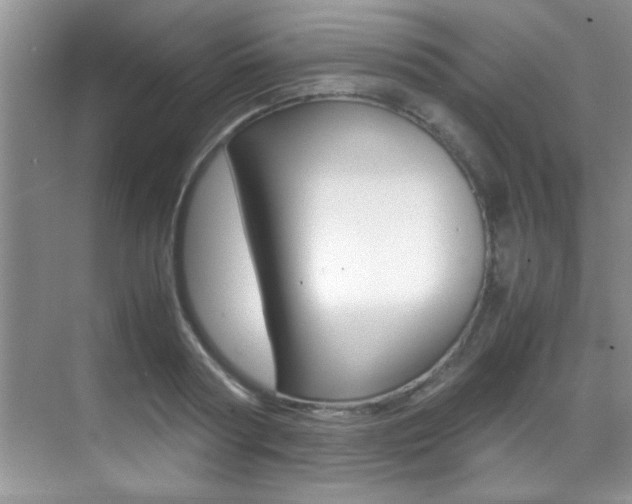 X0000070410794200606090954