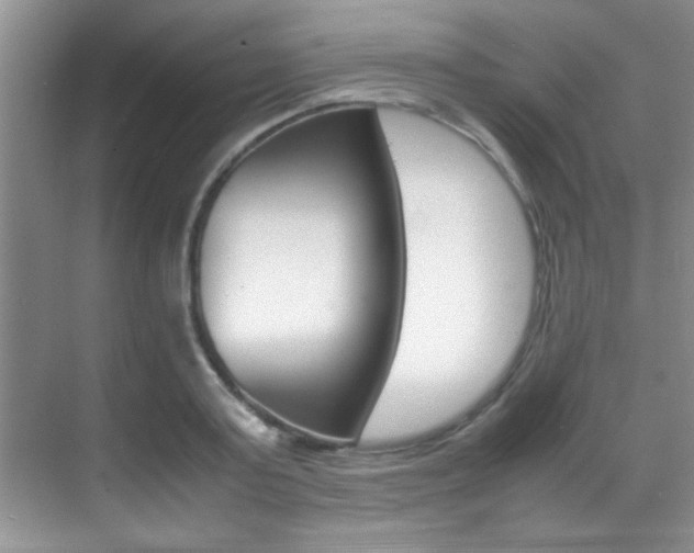 X0000070410795200606090954