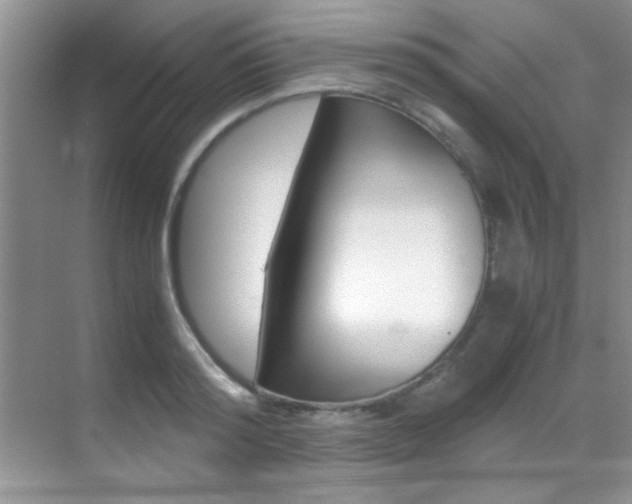 X0000070410796200606090954