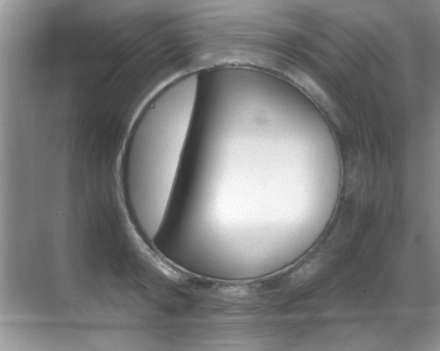 X0000070410798200606090954