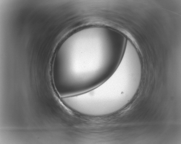 X0000070410799200606090954