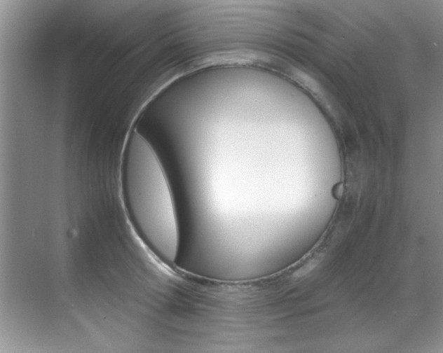 X0000070410802200606090954