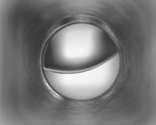 X0000070410803200606090954