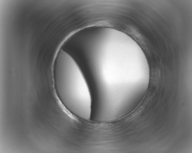 X0000070410808200606090954