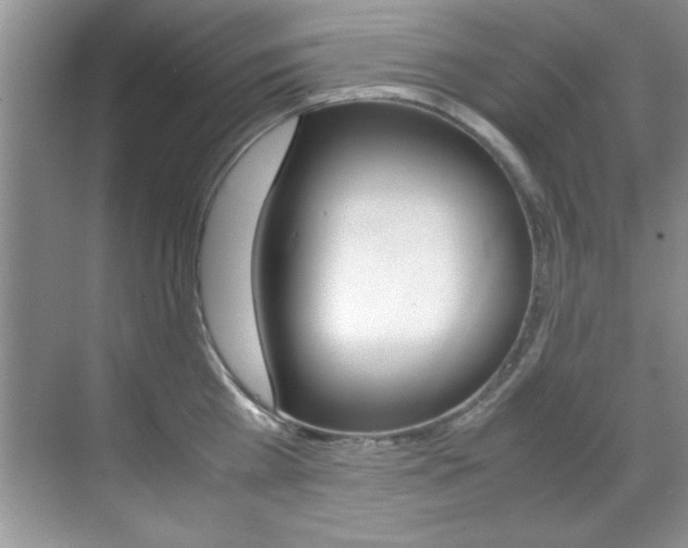 X0000070410809200606090954