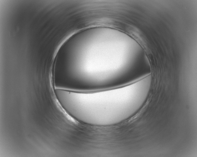 X0000070410812200606090954