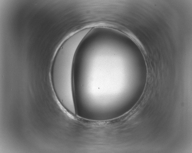 X0000070410813200606090954