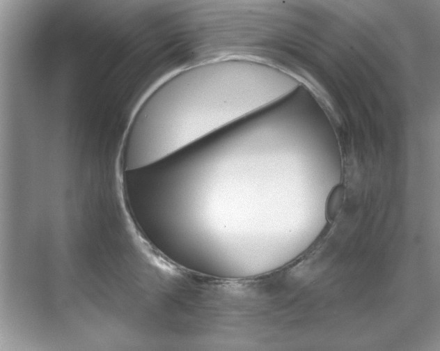 X0000070410814200606090954