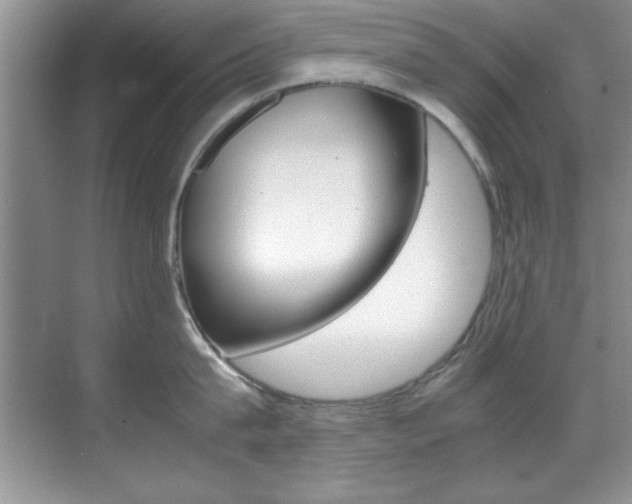 X0000070410815200606090954