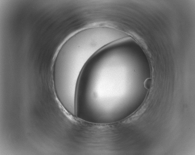 X0000070410816200606090954