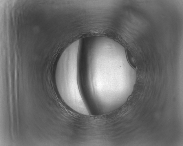 X0000070410817200606090953