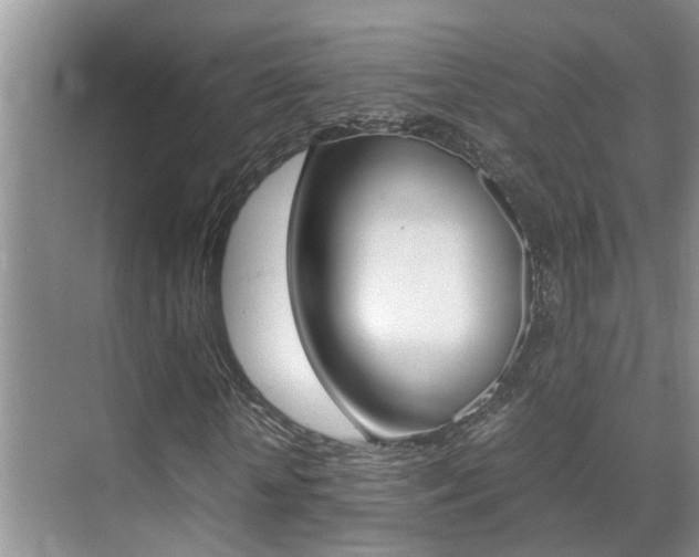 X0000070410818200606090953