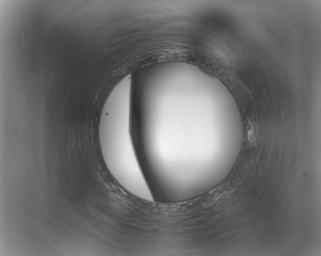 X0000070410819200606090953