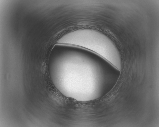 X0000070410821200606090953