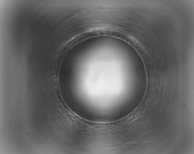 X0000070410822200606090953