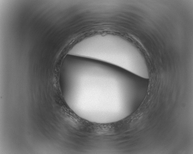 X0000070410823200606090953